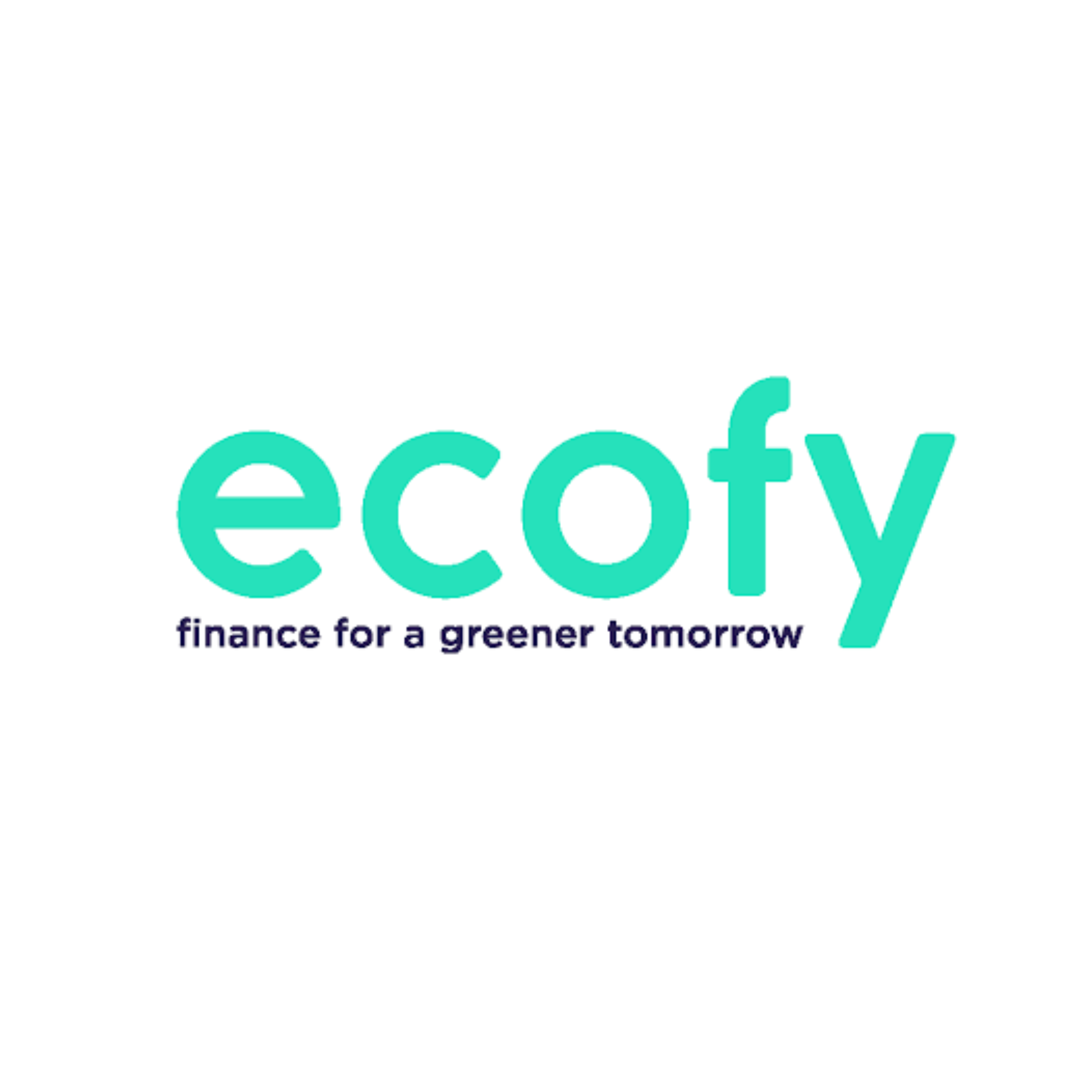 finance partner